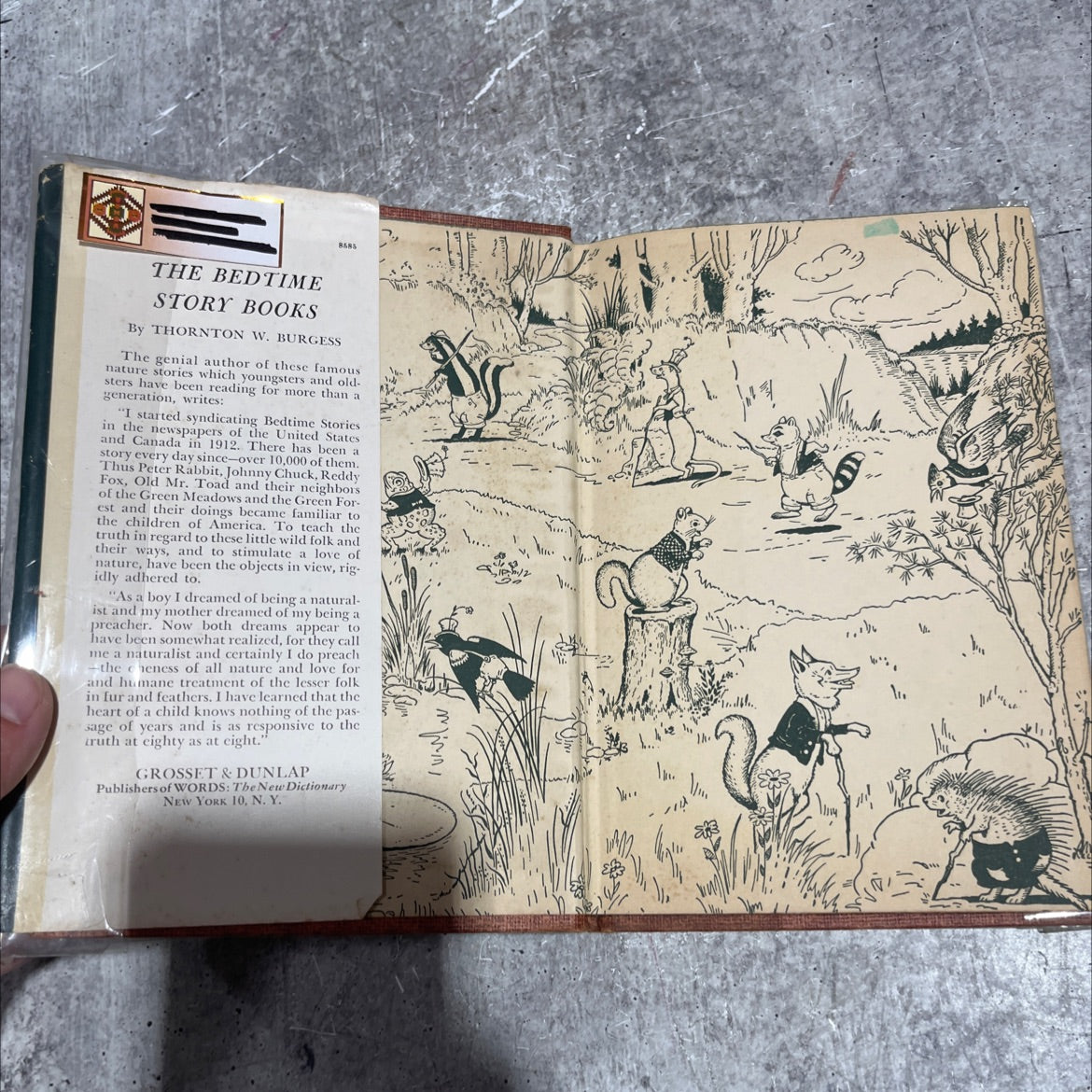 the adventures of jerry muskrat book, by thornton w. burgess, 1942 Hardcover image 4