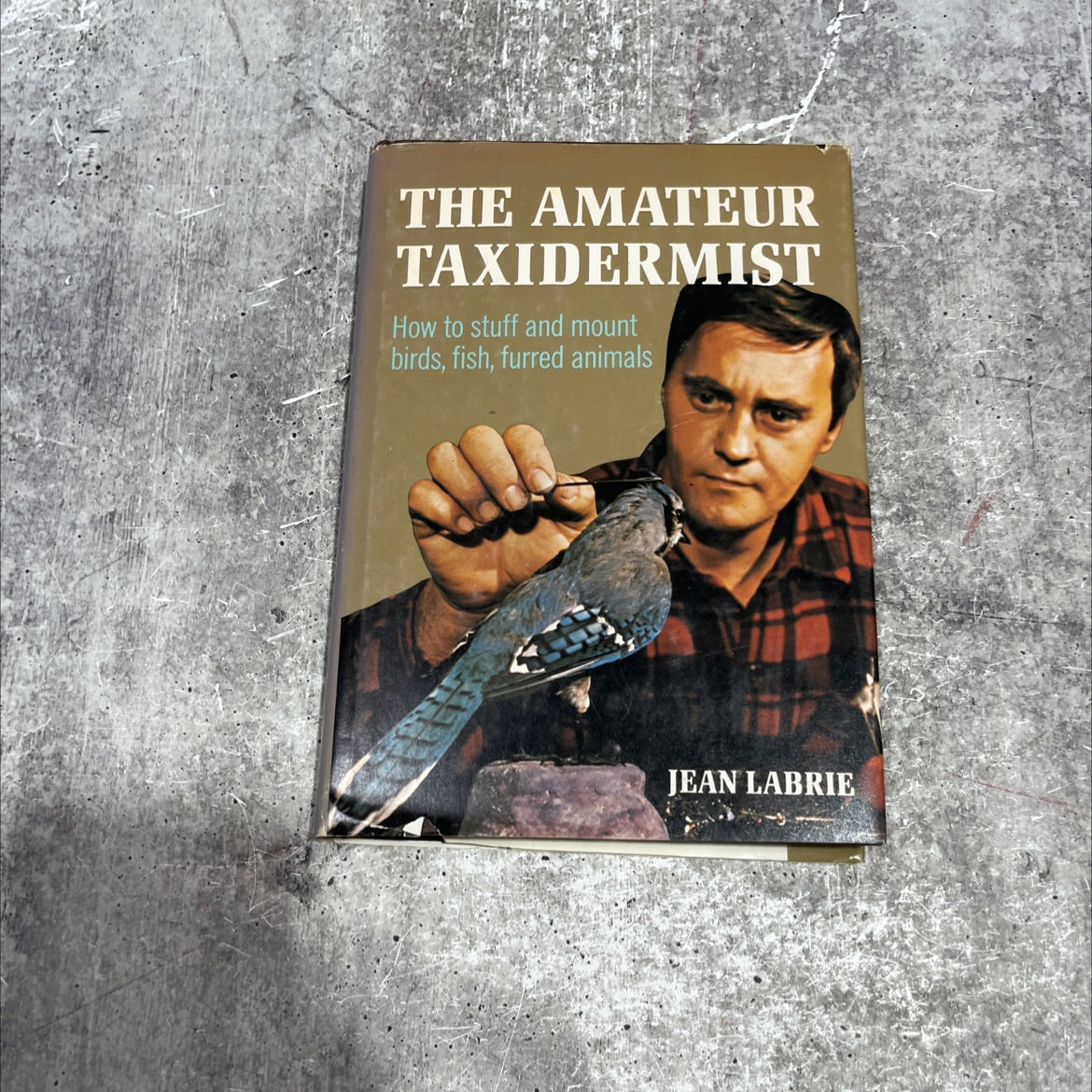 the amateur taxidermist a step-by-step illustrated handbook on how to stuff and preserve birds, fish, and furred image 1