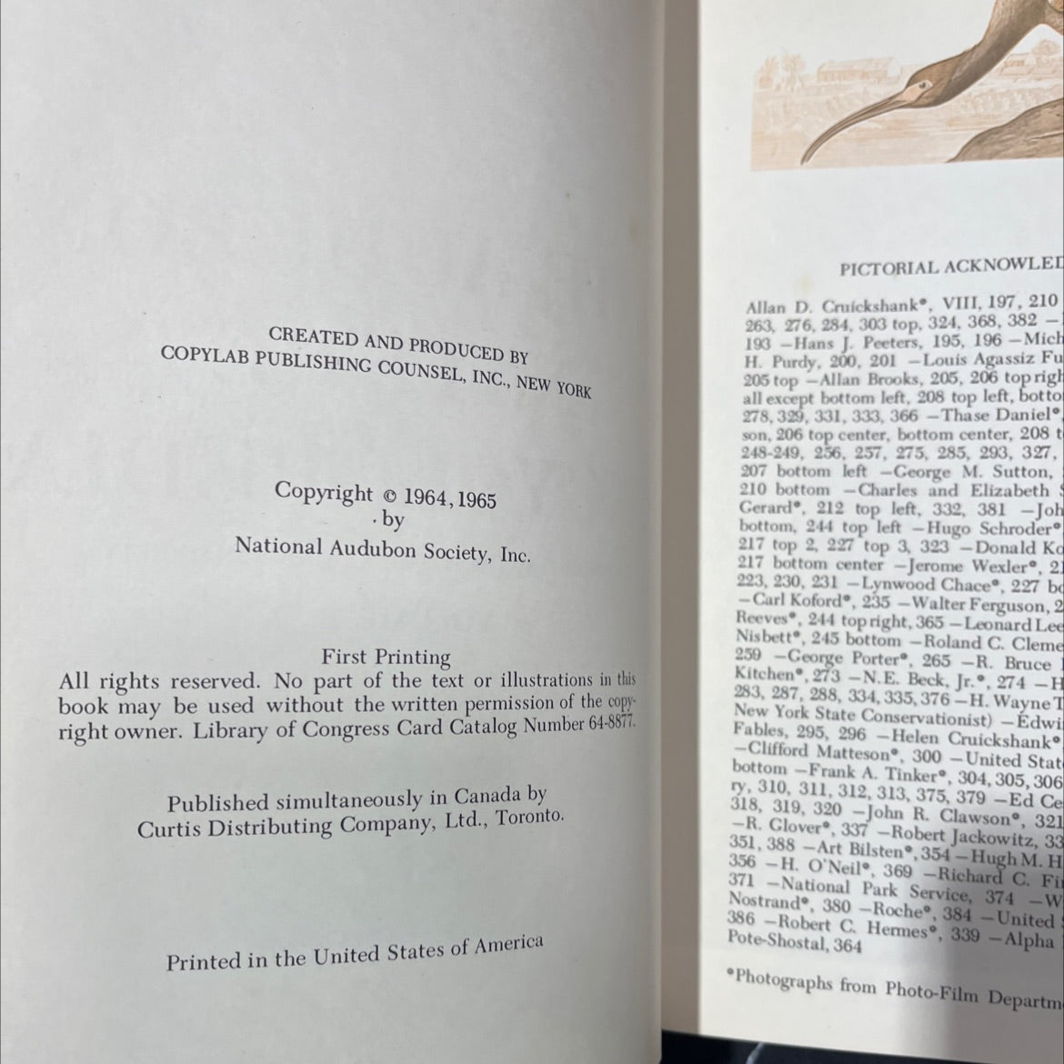 the audubon nature encyclopedia volume 2 bi - ca book, by national audubon society, 1965 Hardcover image 3