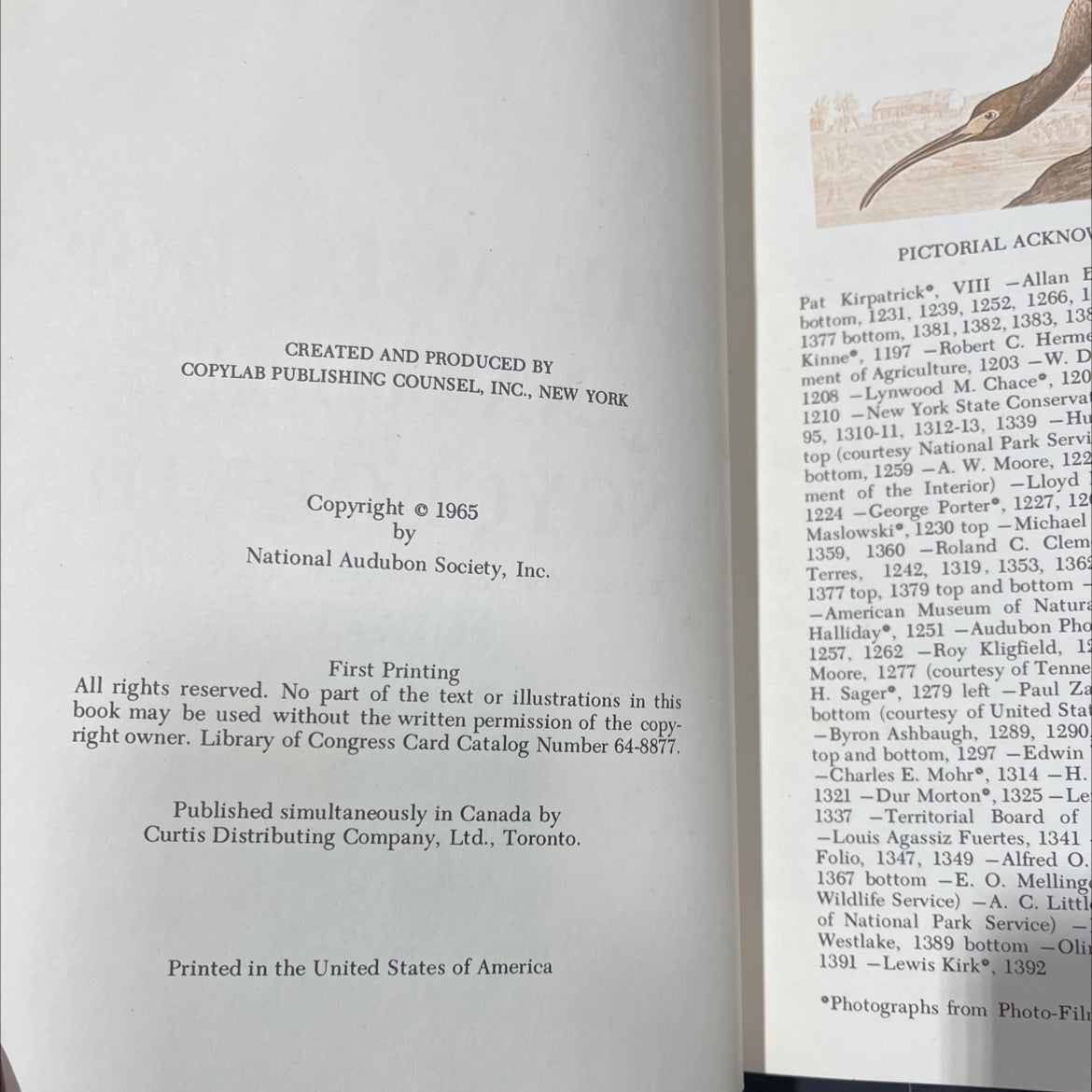 the audubon nature encyclopedia volume 7 mo-or book, by national audubon society, 1965 Hardcover image 3