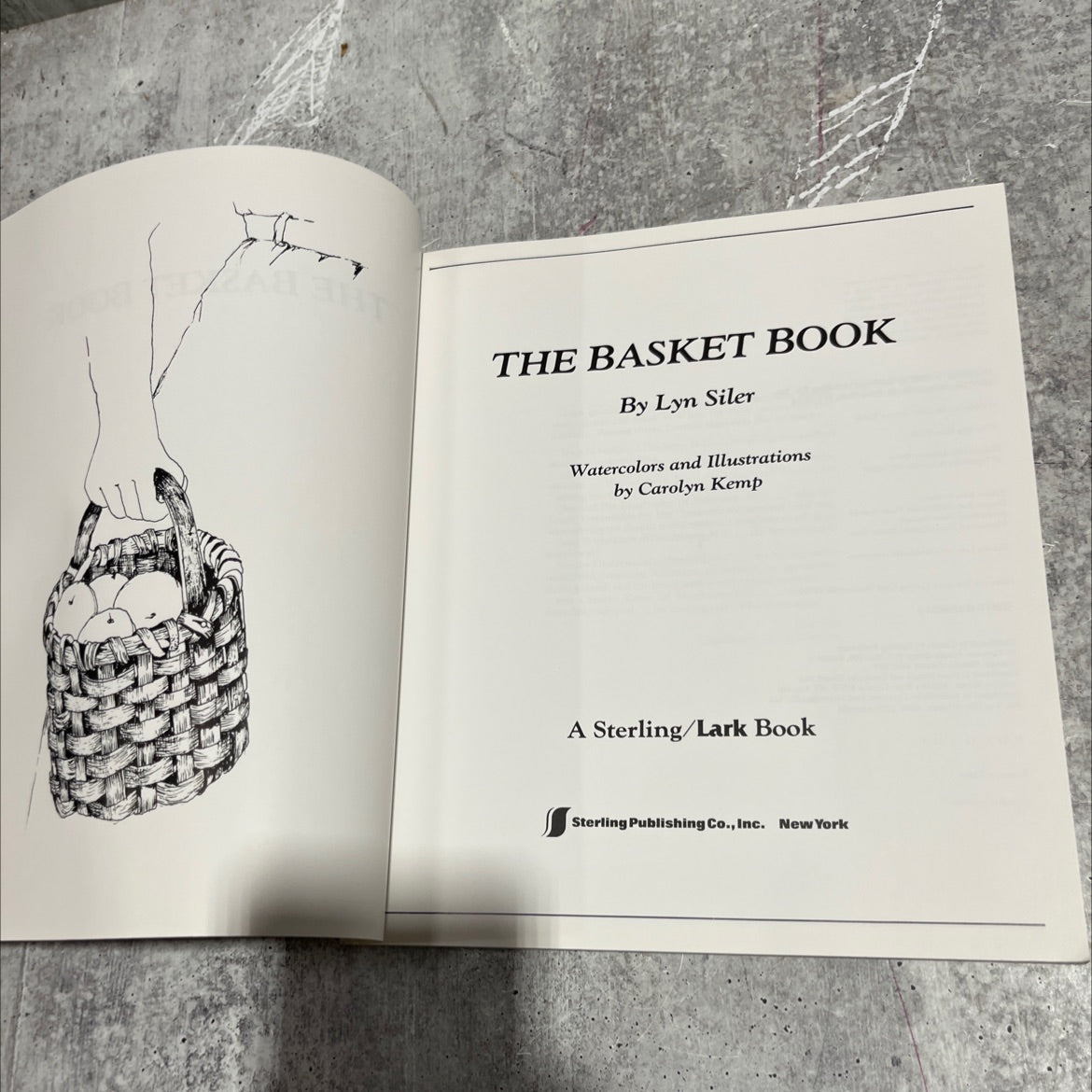 the basket book book, by lyn siler, 1988 Paperback image 2