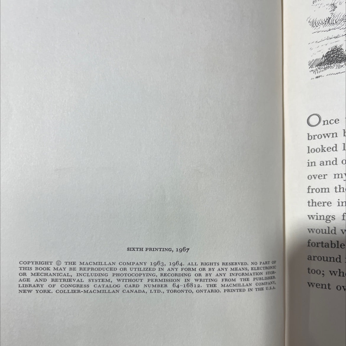 the bat-poet book, by randall jarrell, 1967 Hardcover image 3