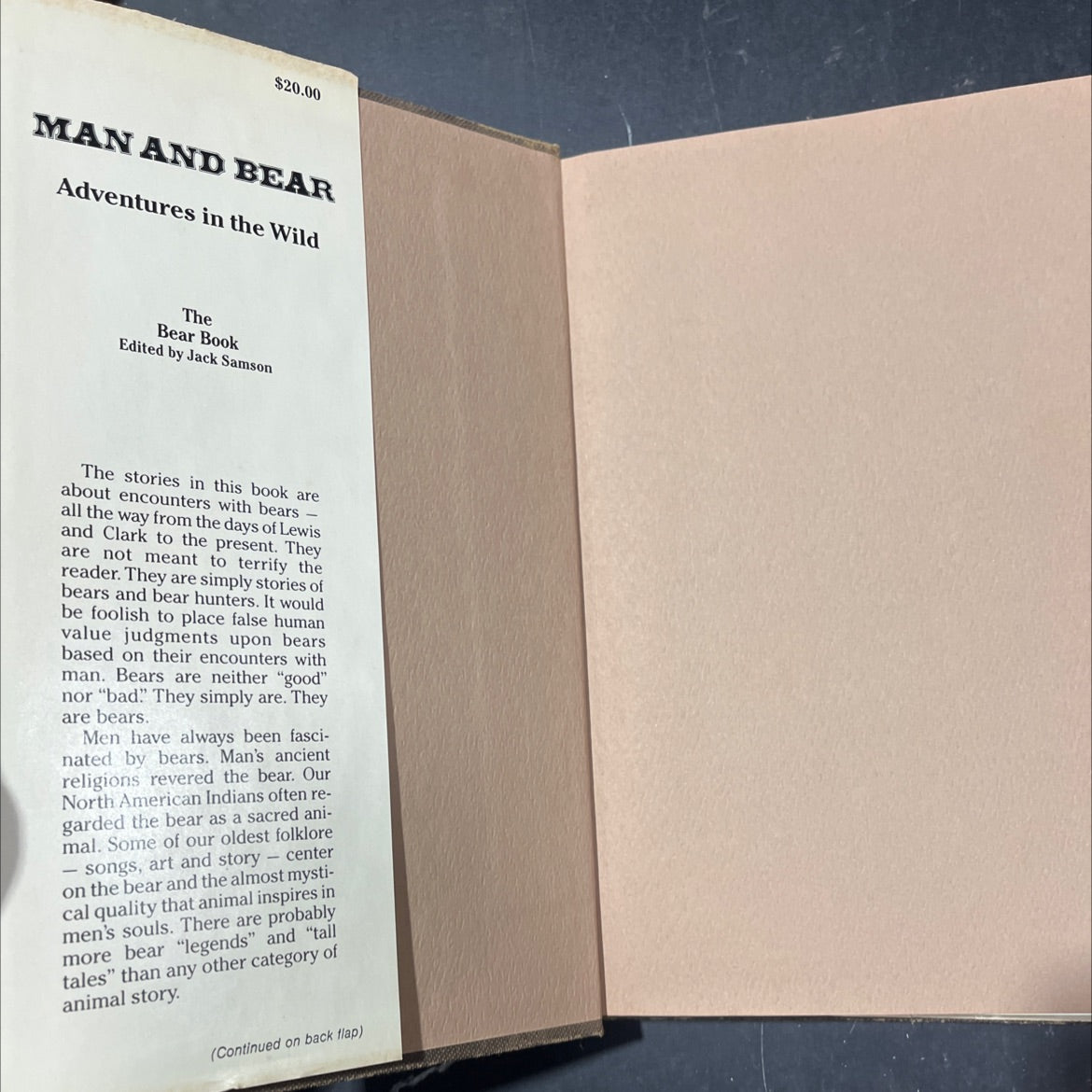 the bear book book, by jack samson, 1982 Hardcover image 4