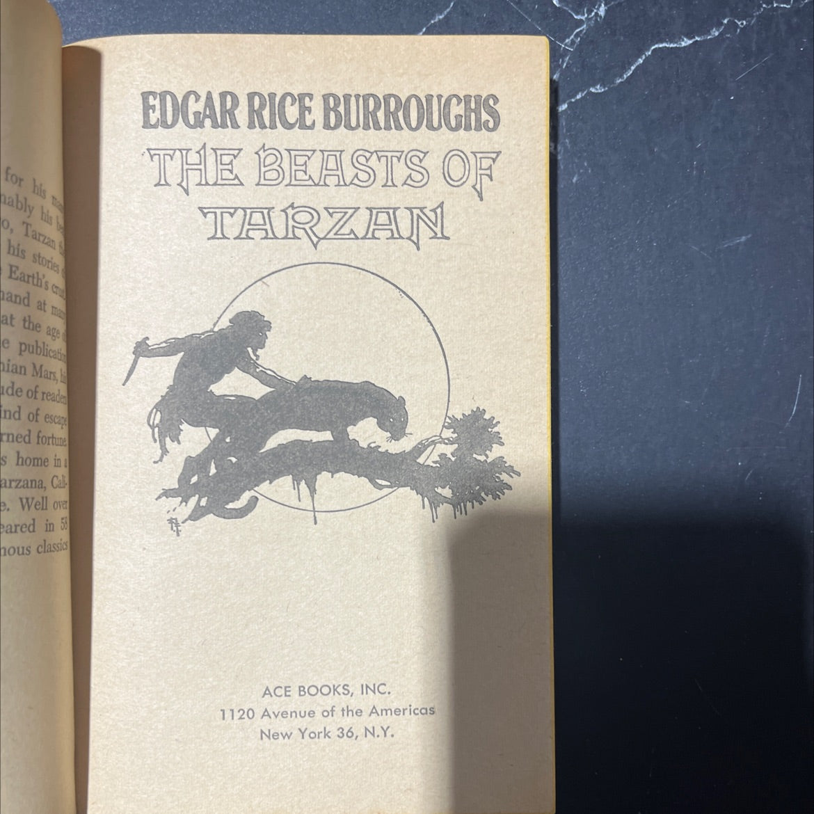 the beasts of tarzan book, by edgar rice burroughs, 1916 Paperback image 2