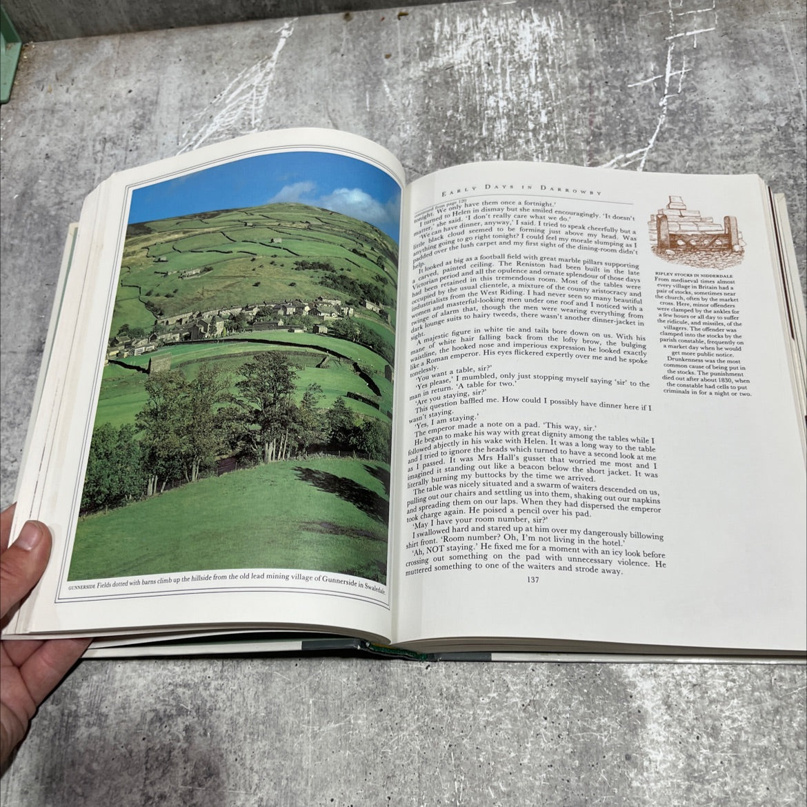 the best of james herriot book, by james herriot, 1982 Hardcover image 4