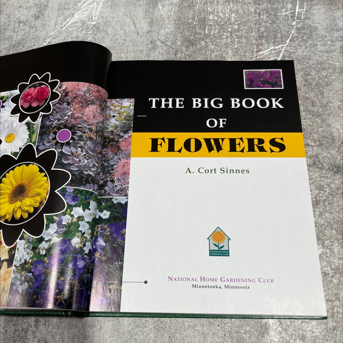 the big book of flowers book, by A. Cort Sinnes, 2000 Hardcover image 2