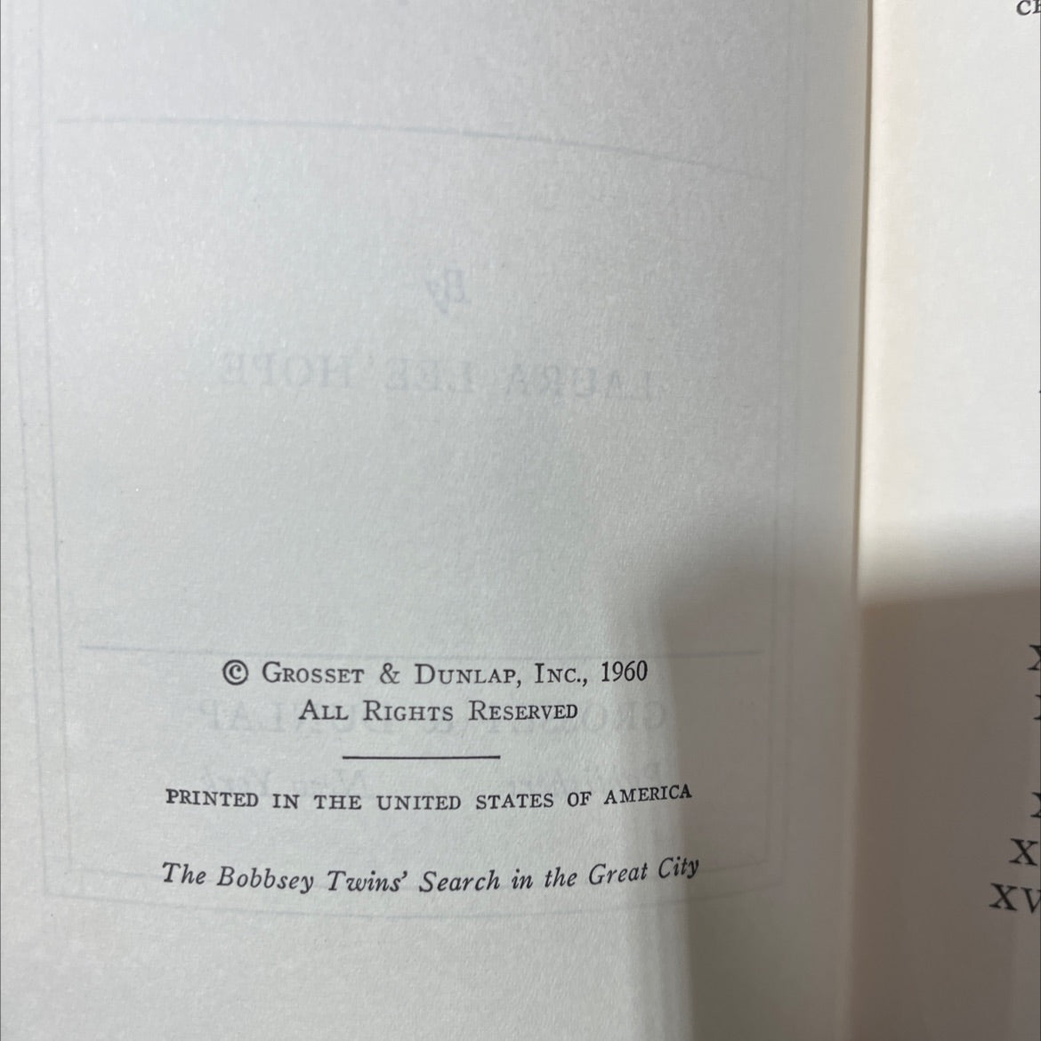 the bobbsey twins' search in the great city book, by laura lee hope, 1960 Hardcover image 3