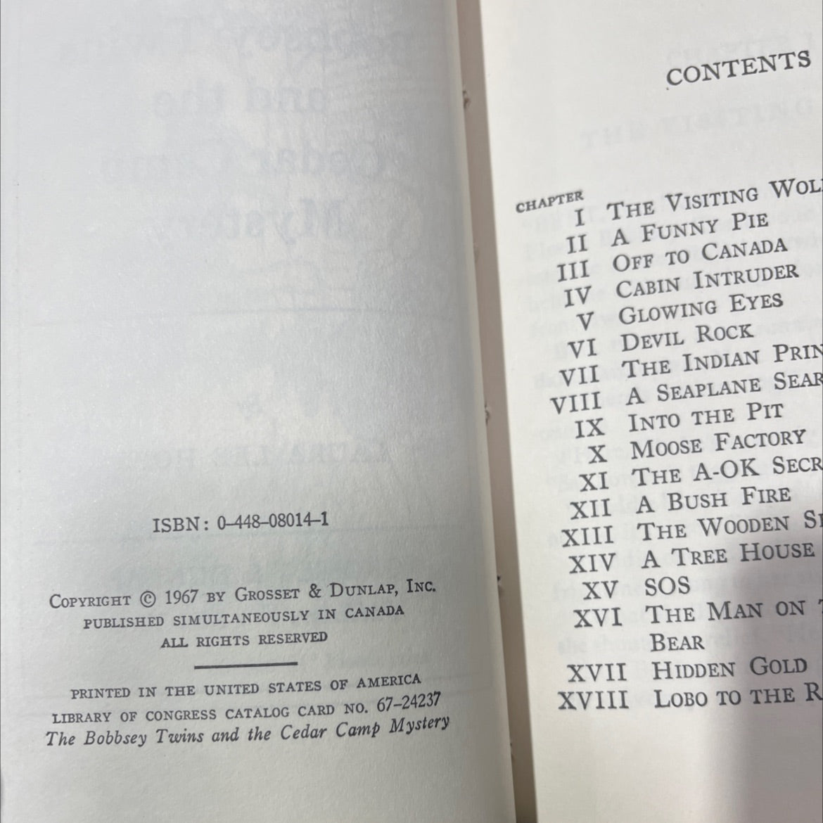 the bobbsey twins and the cedar camp mystery book, by laura lee hope, 1967 Hardcover image 3