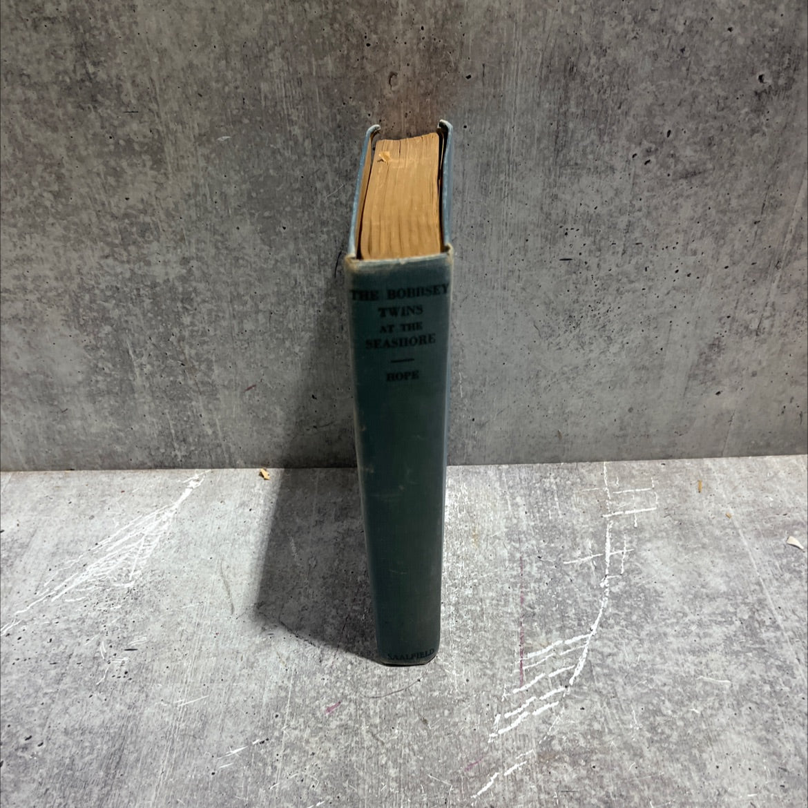 the bobbsey twins at the seashore book, by laura lee hope, 1940 Hardcover image 4