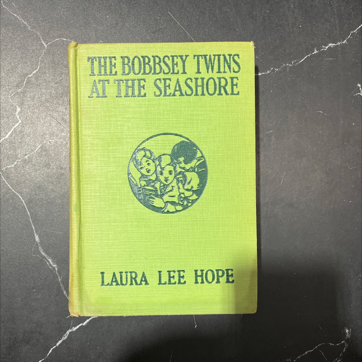 the bobbsey twins at the seashore book, by laura lee hope, unknown Hardcover image 1