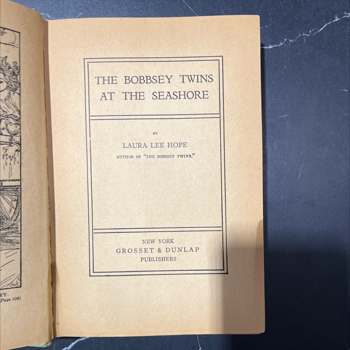 the bobbsey twins at the seashore book, by laura lee hope, unknown Hardcover image 2