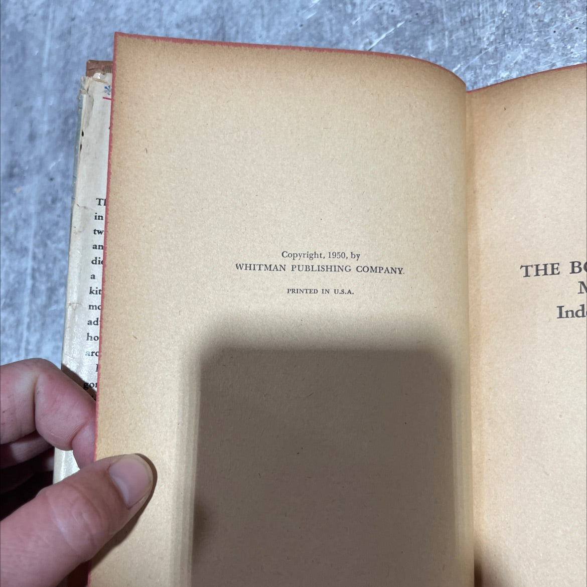 the bobbsey twins merry days indoors and out book, by laura lee hope, 1950 Hardcover image 3