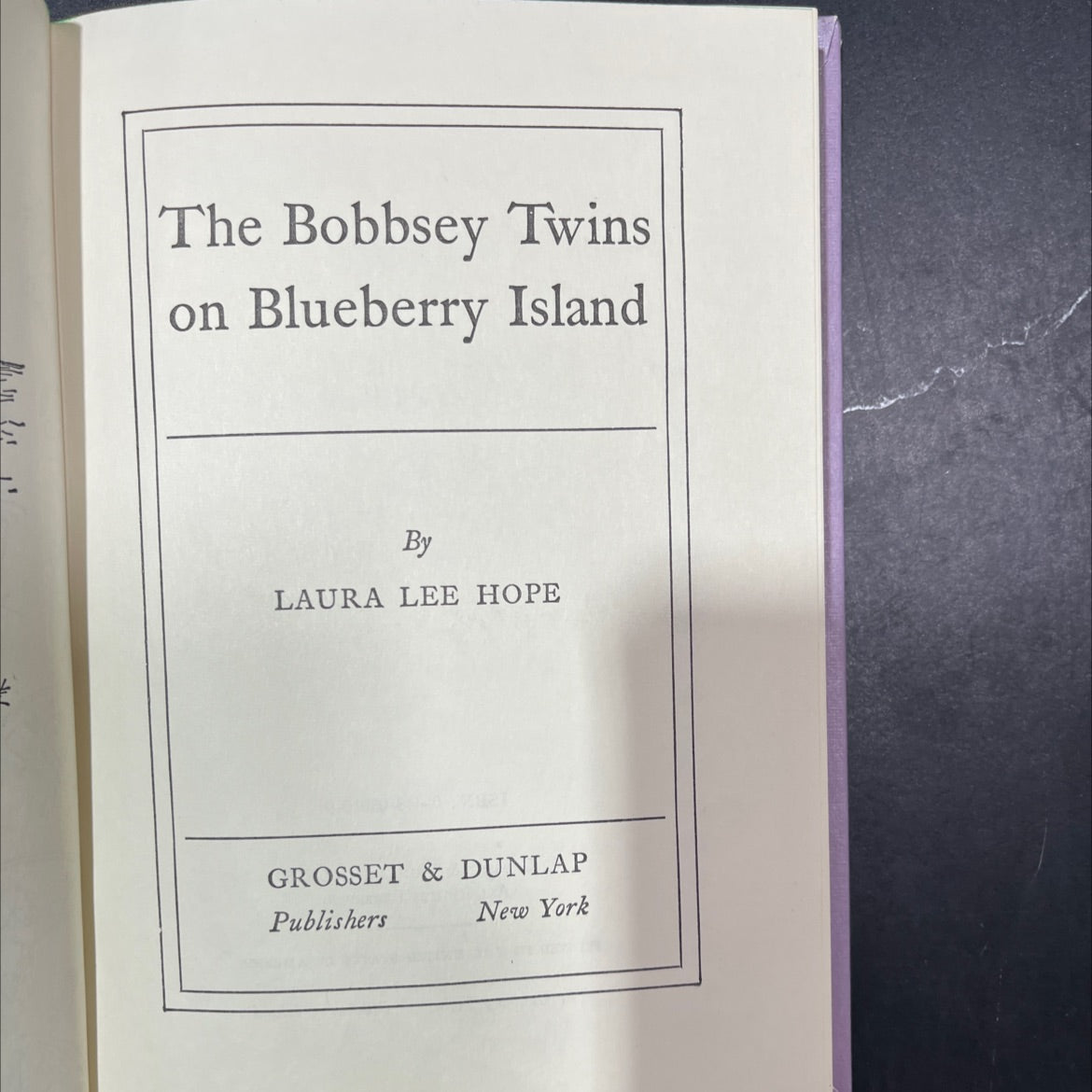 the bobbsey twins on blueberry island book, by laura lee hope, 1959 Hardcover image 2