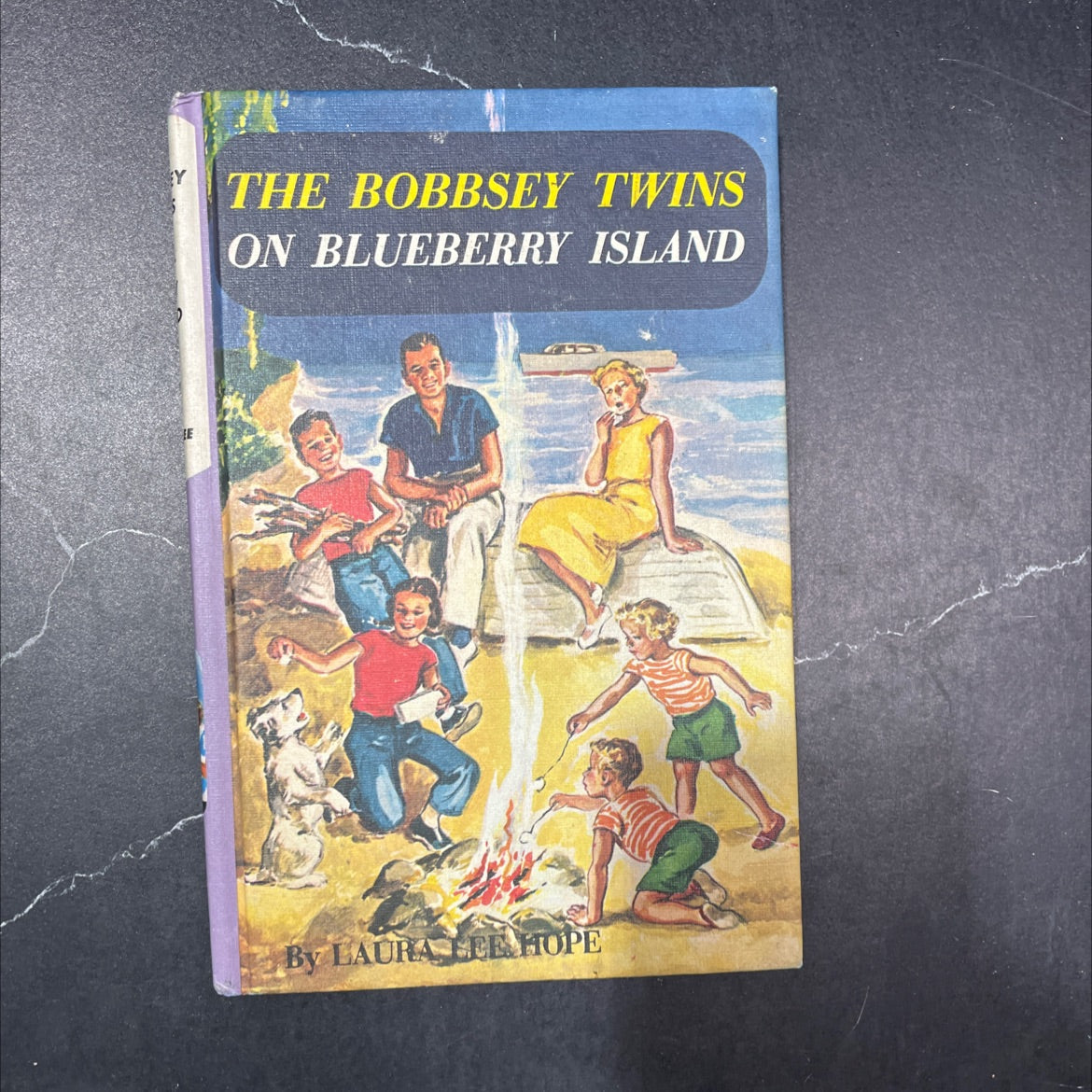 the bobbsey twins on blueberry island book, by laura lee hope, 1959 Hardcover image 1