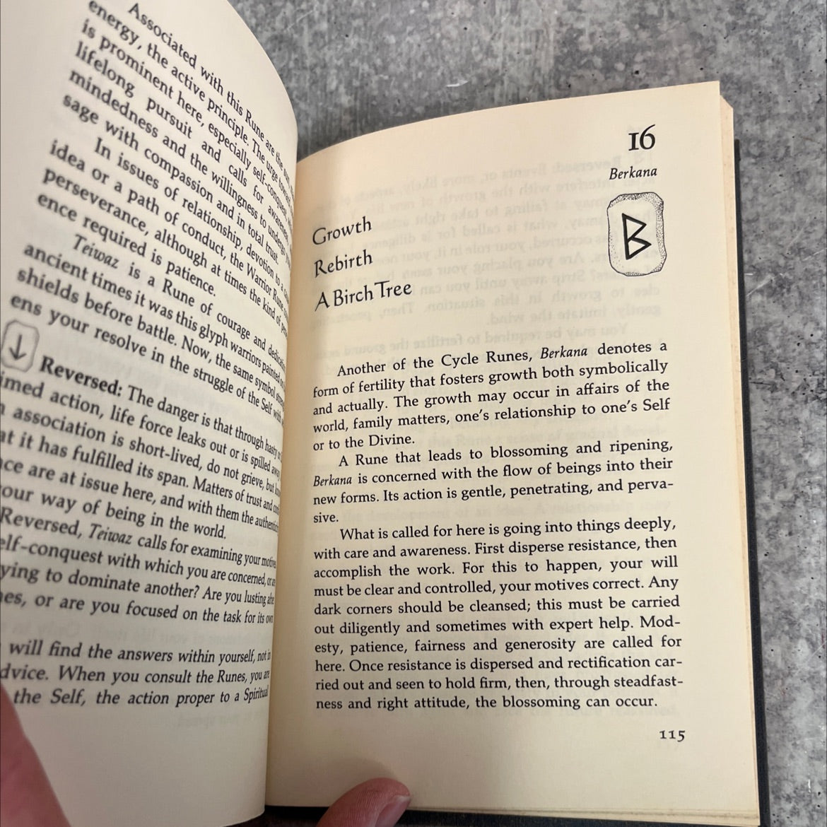 the book of runes a handbook for the use of an ancient oracle book, by Ralph Blum, 1987 Hardcover image 4