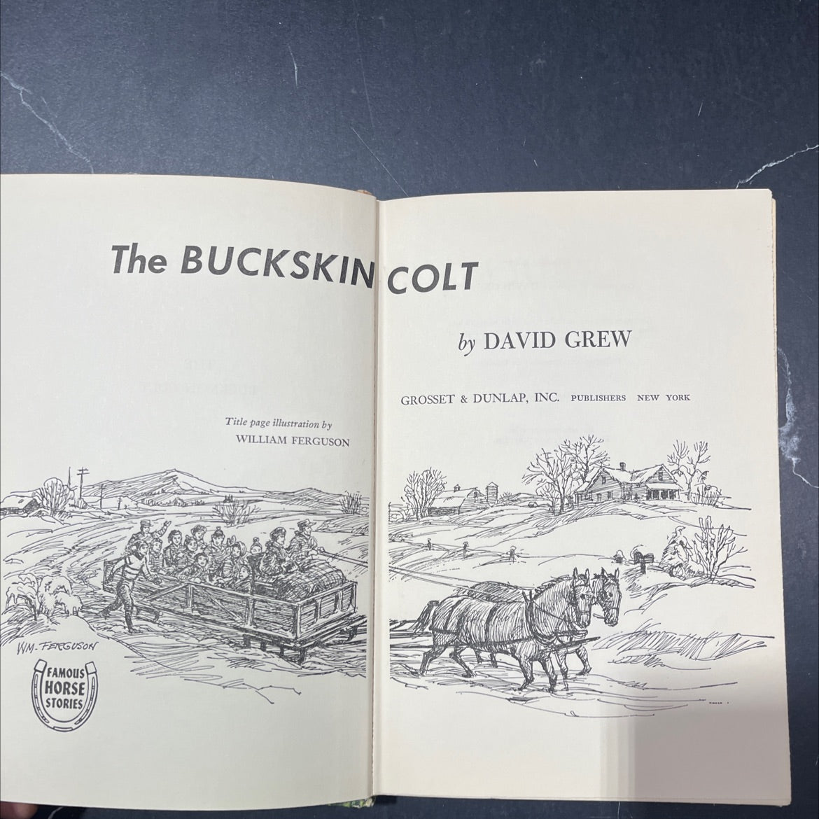 the buckskin colt book, by david grew, 1967 Hardcover image 2