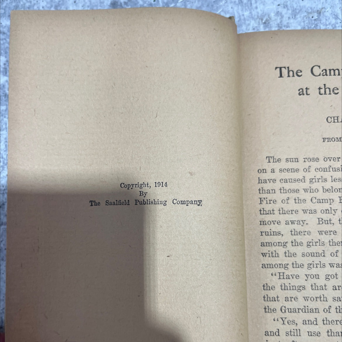 the camp fire girls at the seashore or bessie king's happiness book, by jane l. stewart, 1914 Hardcover image 3