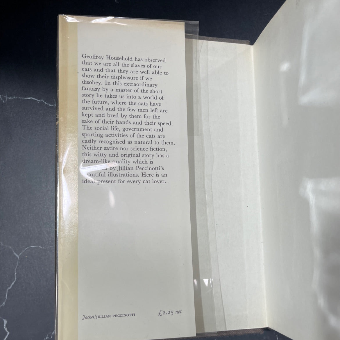 the cats to come book, by geoffrey household, 1975 Hardcover, First Edition image 4