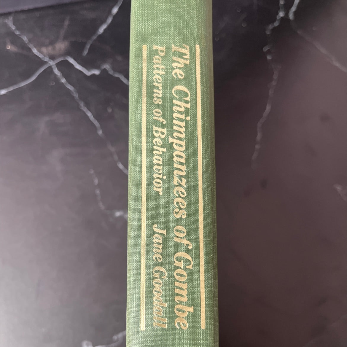 the chimpanzees of gombe patterns of behavior book, by jane goodall, 1986 Hardcover image 2