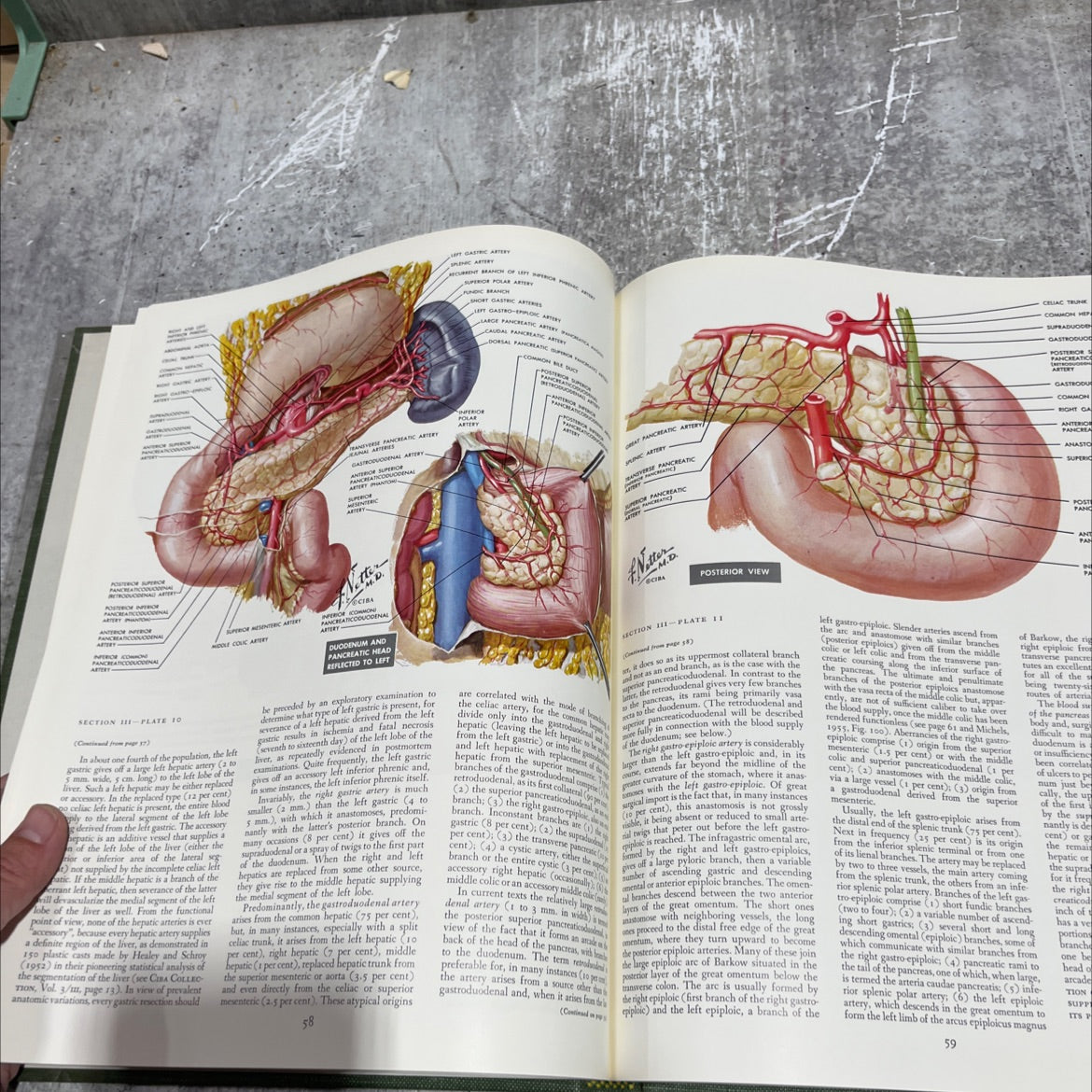 the ciba collection of medical illustrations volume 3 a compilation of paintings on the normal and pathologic anatomy image 4