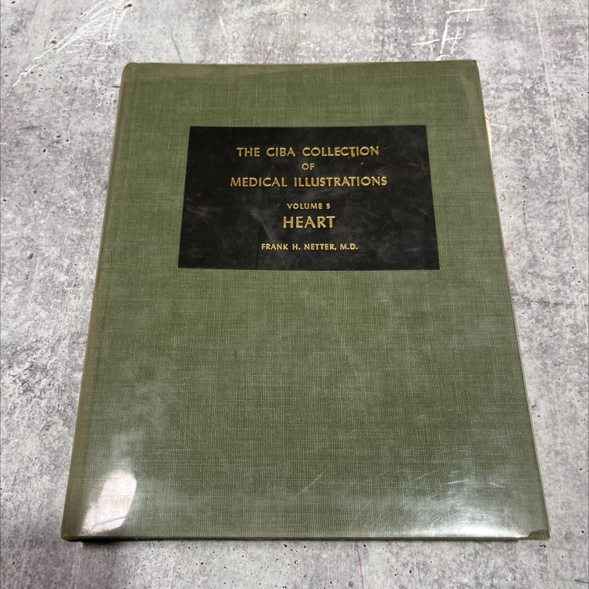 the ciba collection of medical illustrations volume 5 book, by frank h. netter, m.d., 1971 Hardcover image 1