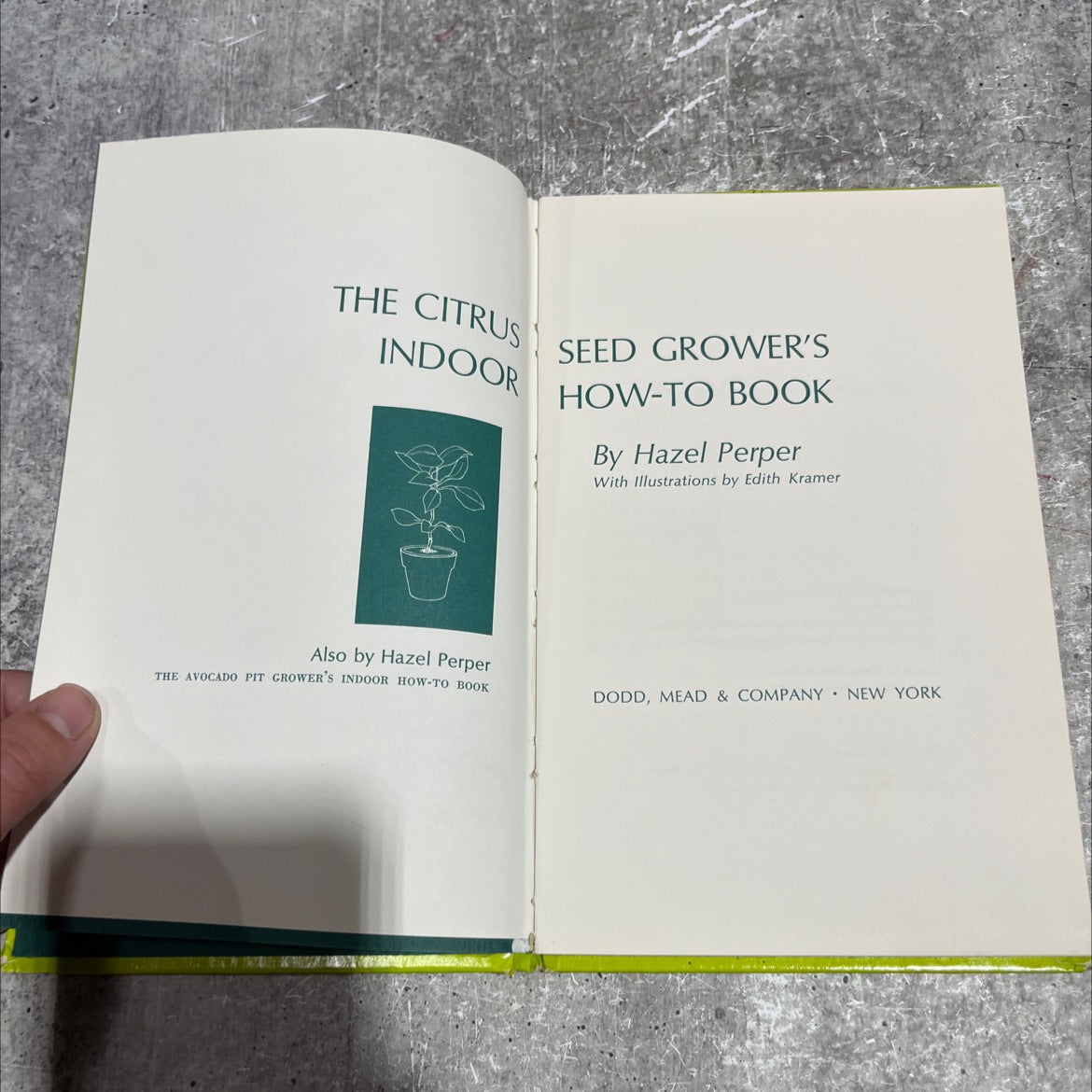 the citrus indoor book, by Hazel Perper, 1971 Hardcover image 2
