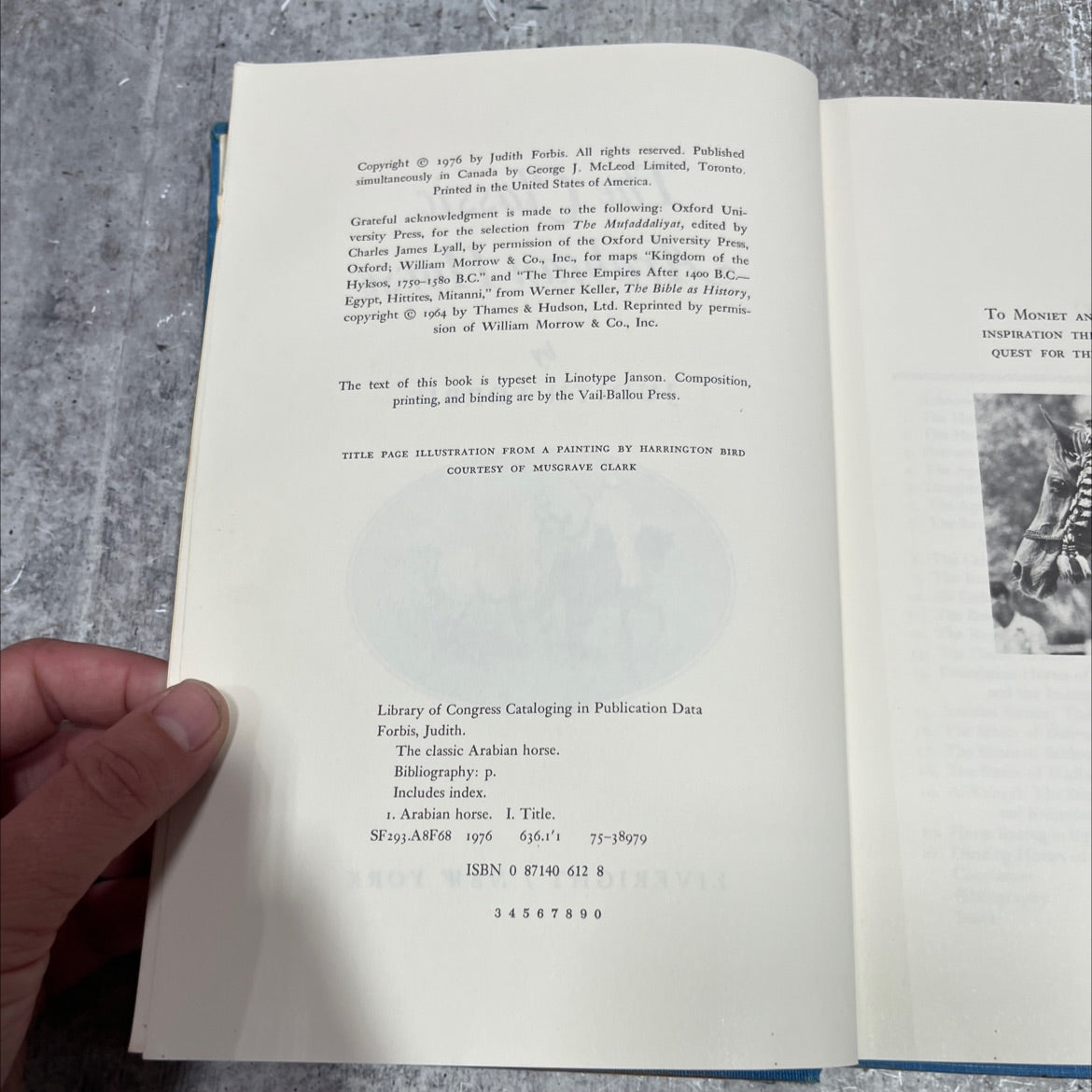 the classic arabian horse book, by judith forbis, 1976 Hardcover image 3
