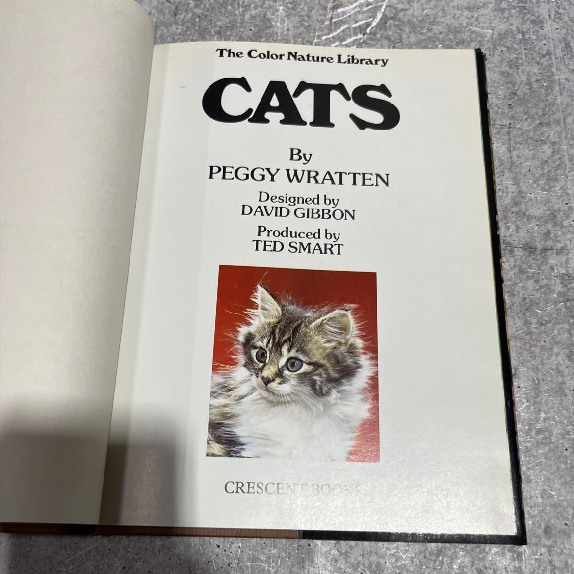 the color nature library cats book, by peggy wratten, 1978 Hardcover image 2