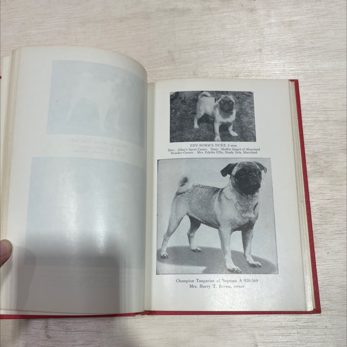 the complete pug book, by milo g. denlinger, 1961 Hardcover image 4