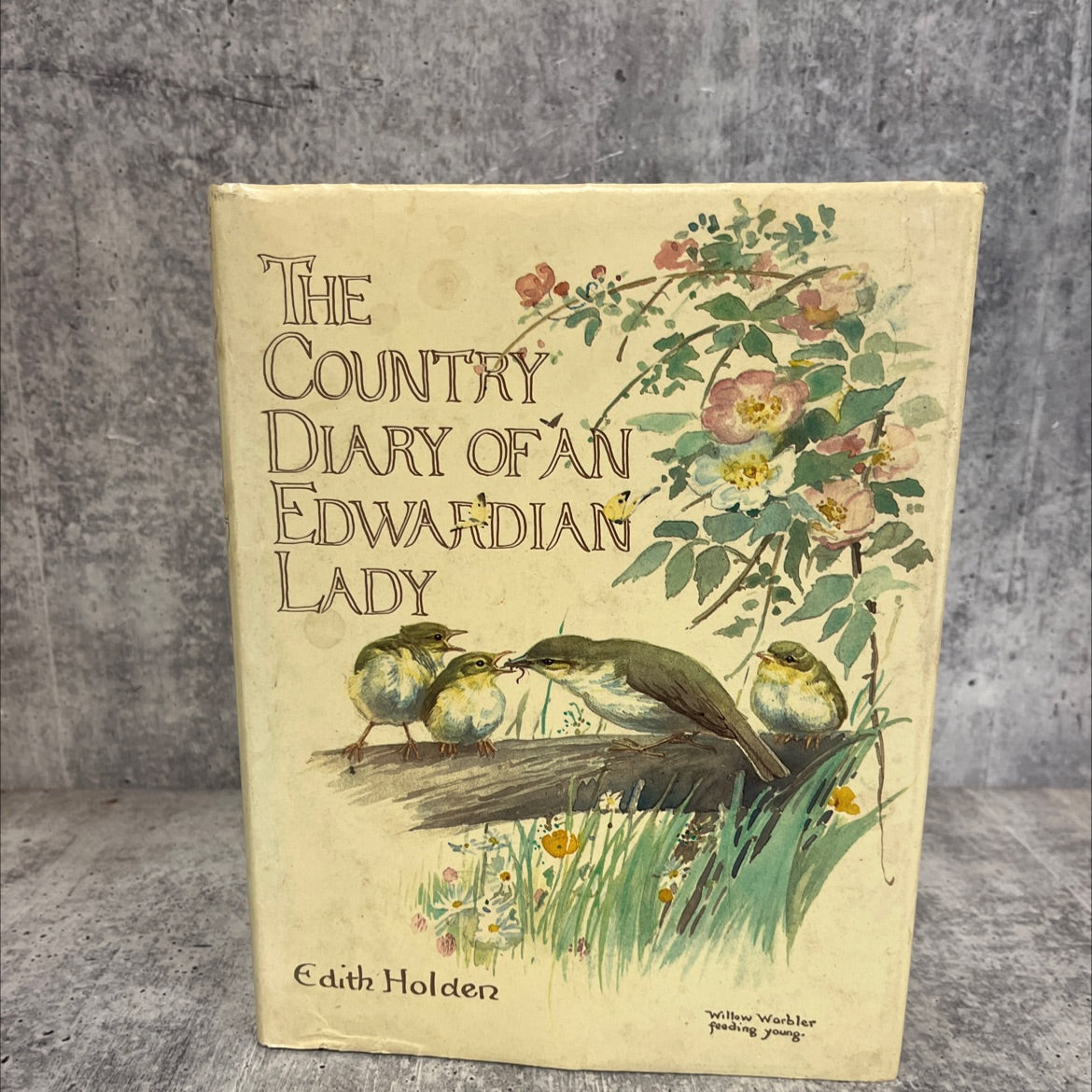 the country diary of an edwardian lady book, by Edith Holden, 1977 Hardcover image 1