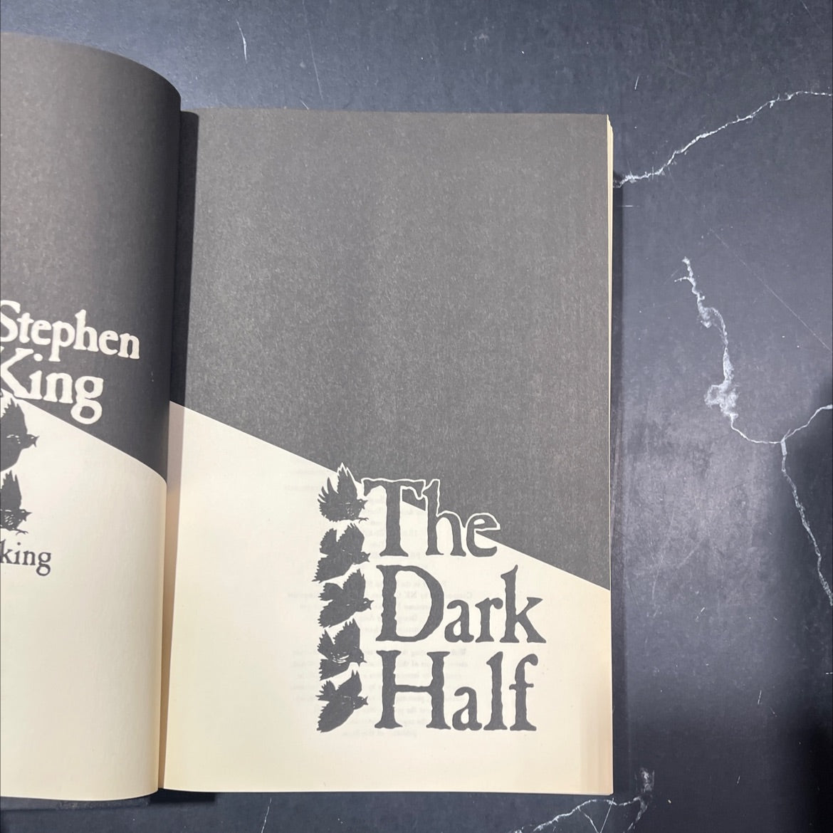 the dark half book, by Stephen King, 1989 Hardcover image 2