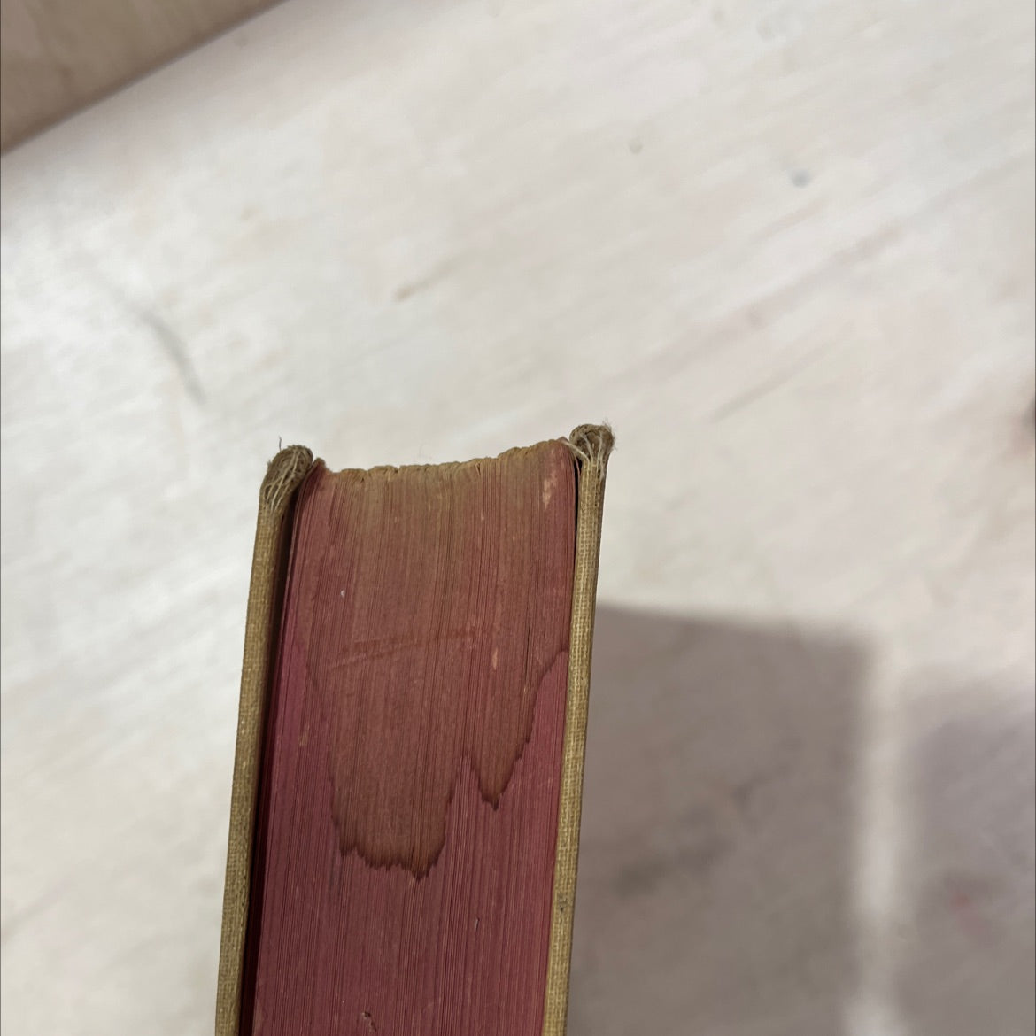 the days of ignorance book, by robert briffault, 1935 Hardcover, Antique, Heavily Used image 4