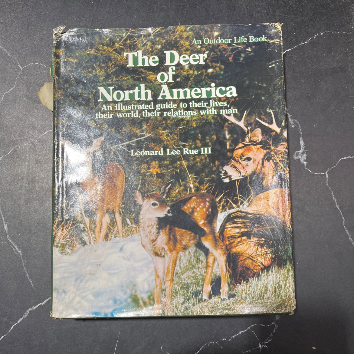 the deer of north america book, by leonard lee rue iii, 1979 Hardcover image 1