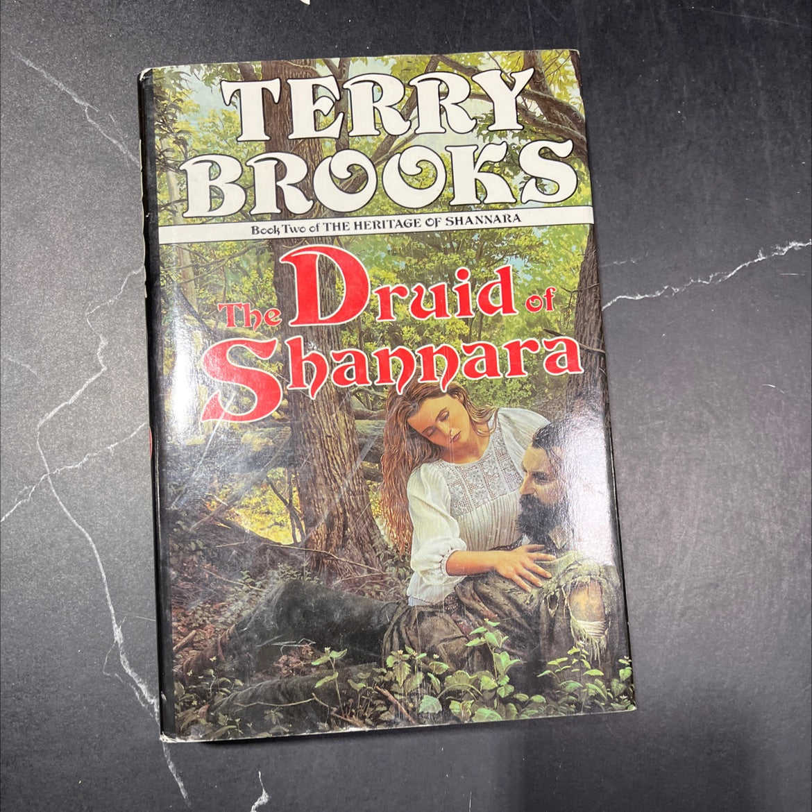the druid of shannara book, by terry brooks, 1991 Hardcover image 1
