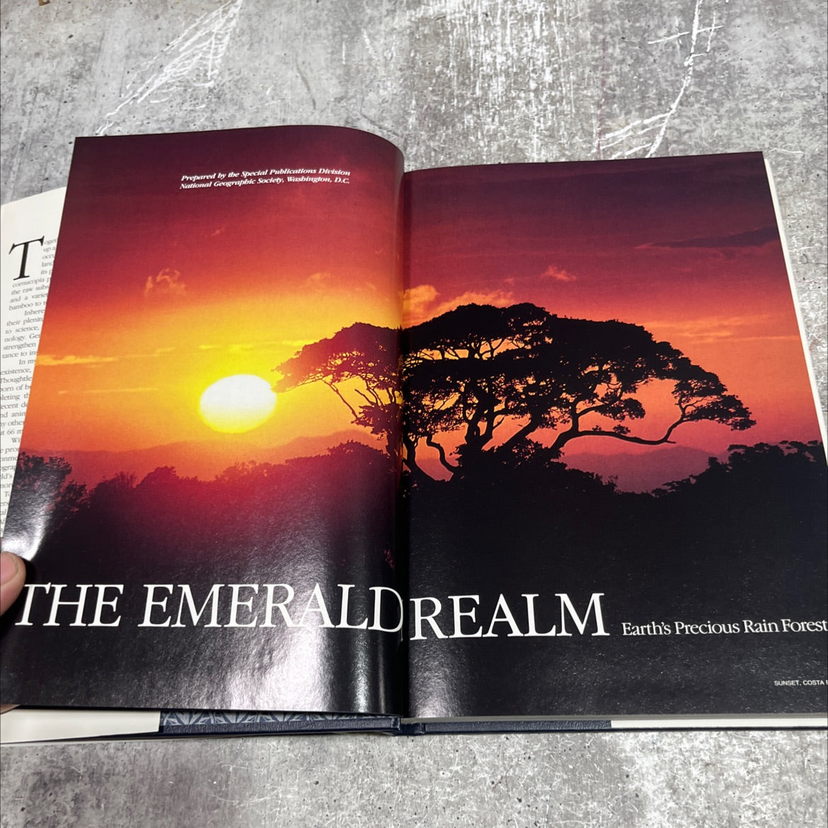 the emerald realm earth's precious rain forest book, by unknown, 1990 Hardcover image 2