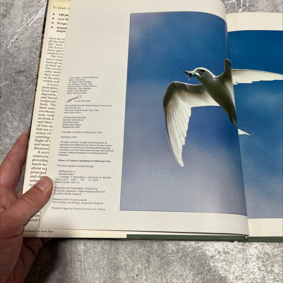 the encyclopedia of animal biology book, by professor r. mcneill alexander, 1989 Hardcover image 3