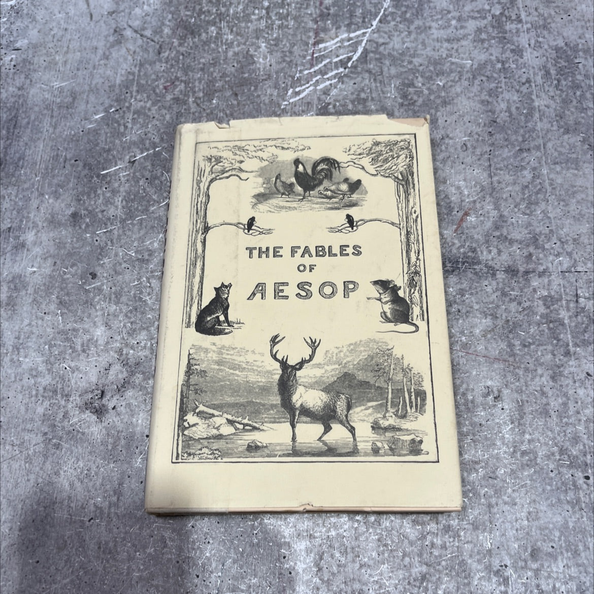 the fables of esop book, by unknown, 1995 Hardcover image 1