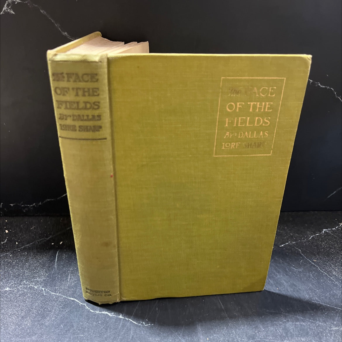 the face of the fields book, by dallas lore sharp, 1911 Hardcover image 1