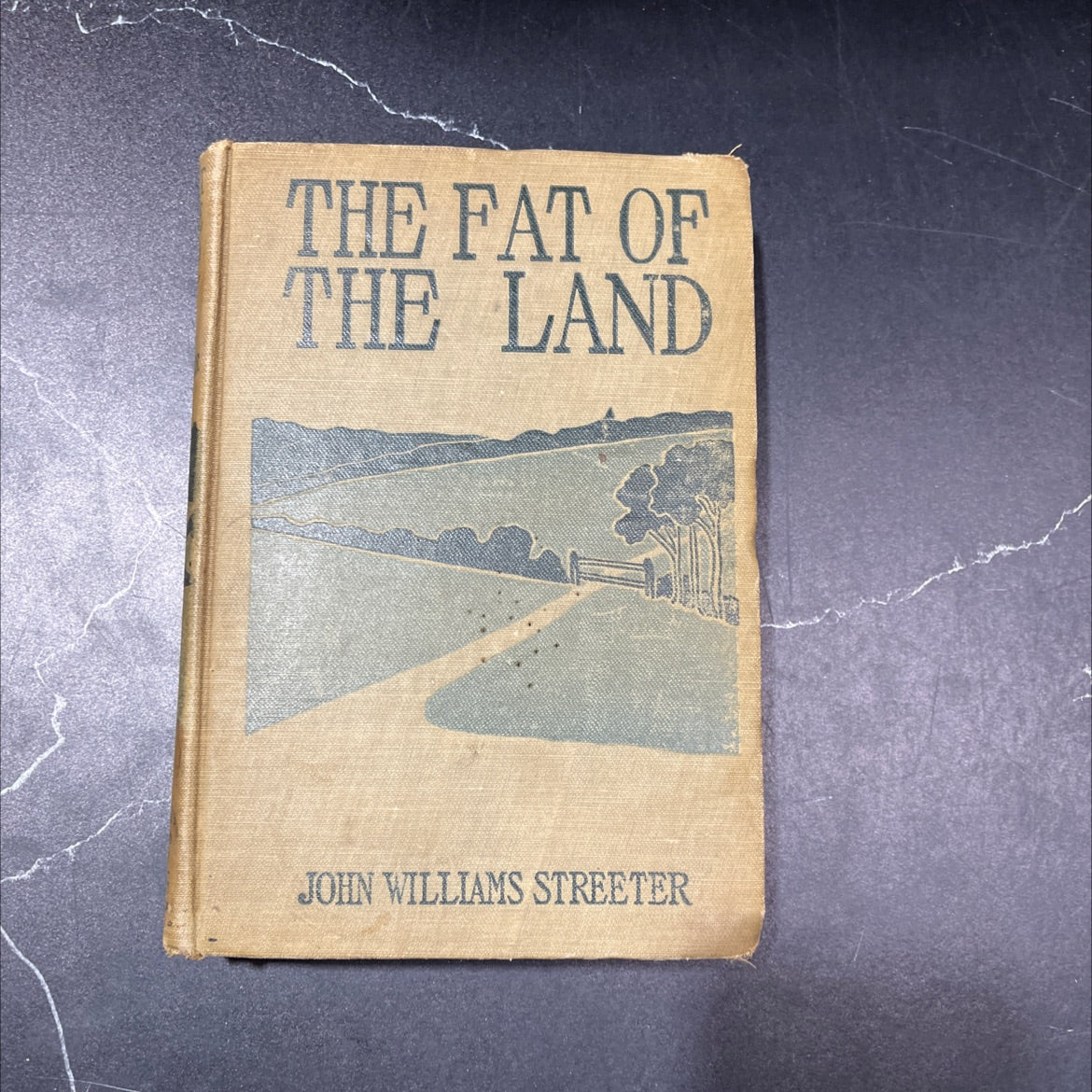 the fat of the land the story of an american farm book, by john williams streeter, 1904 Hardcover image 1