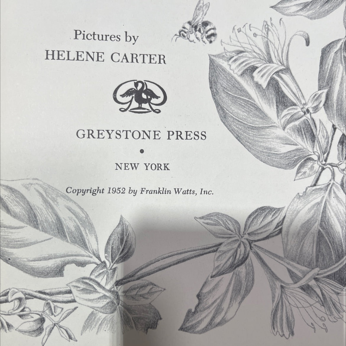 the first book of bees book, by albert b. tibbetts, 1952 Hardcover image 3