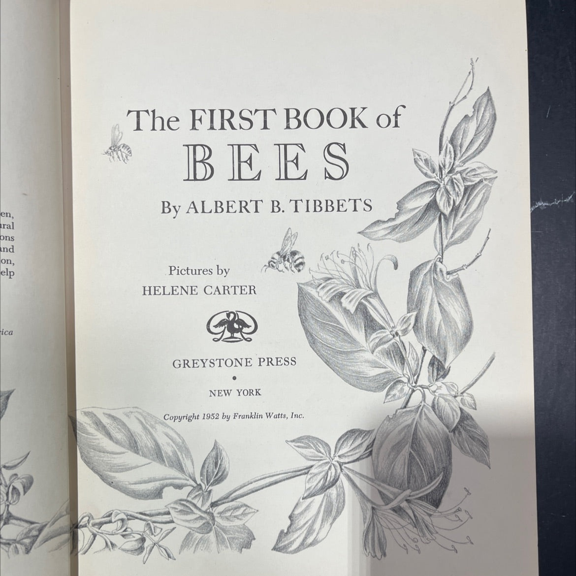 the first book of bees book, by albert b. tibbetts, 1952 Hardcover image 2