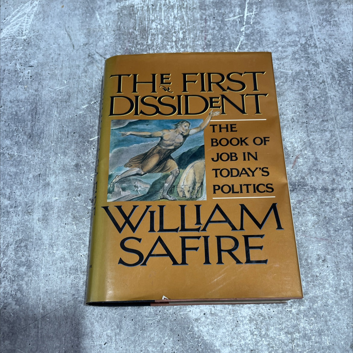 the first dissident: the book of job in today's politics book, by william safire, 1992 Hardcover image 1