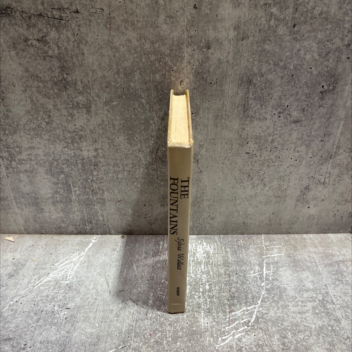 the fountains book, by sylvia wallace, 1976 Hardcover image 4