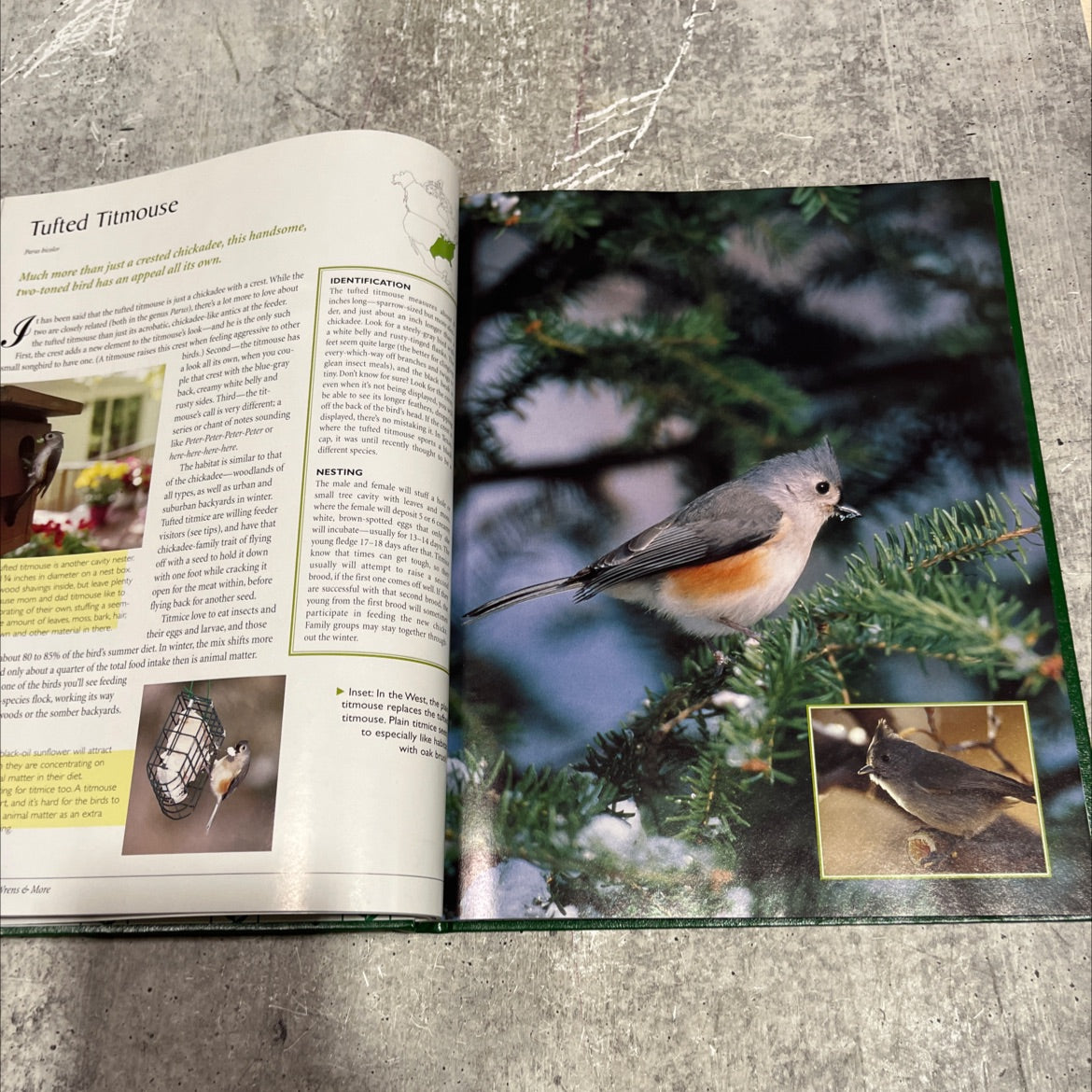 the gardener's bird book book, by Tom Carpenter, 2001 Hardcover image 4