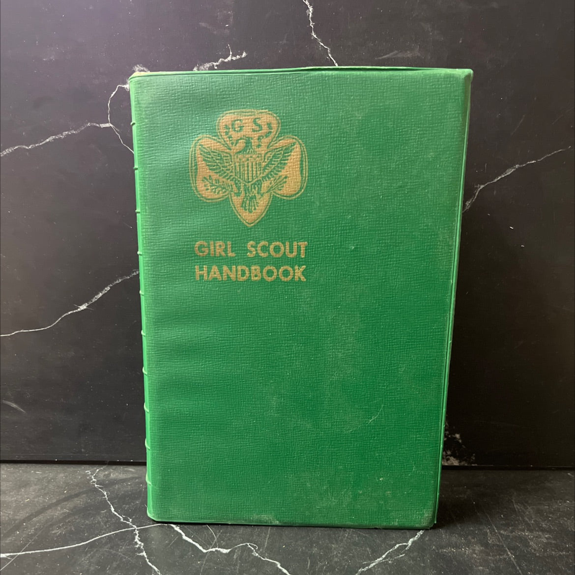 the girl scout promise on my honor, i will try: the girl scout laws book, by Girl Scouts of the United States of image 1