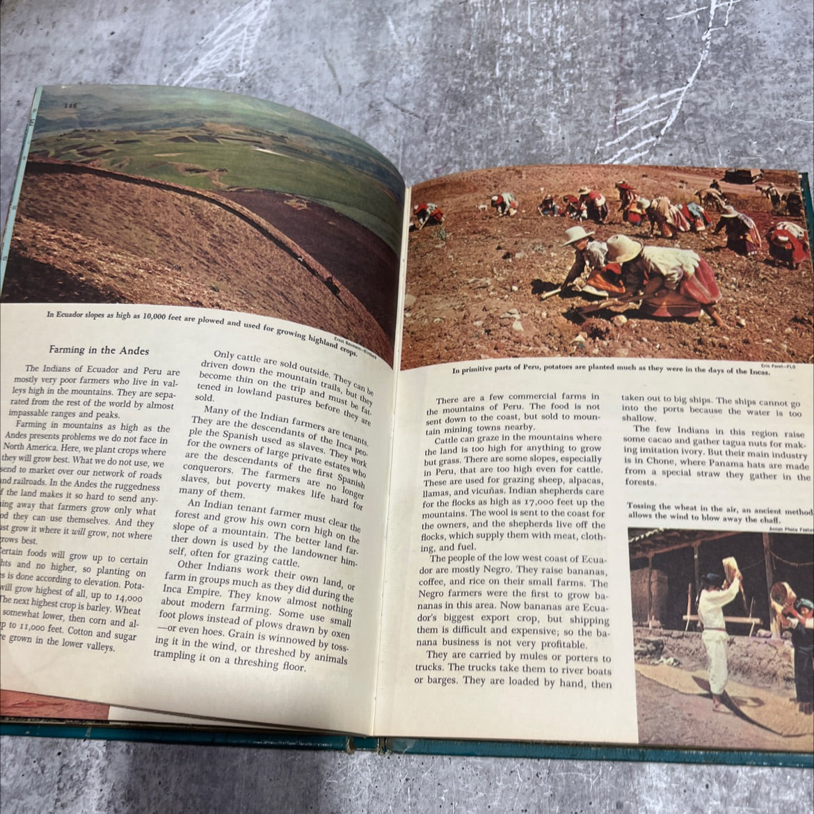 the golden book picture atlas of the world in six volumes book, by margaret bevans, 1960 Hardcover image 4