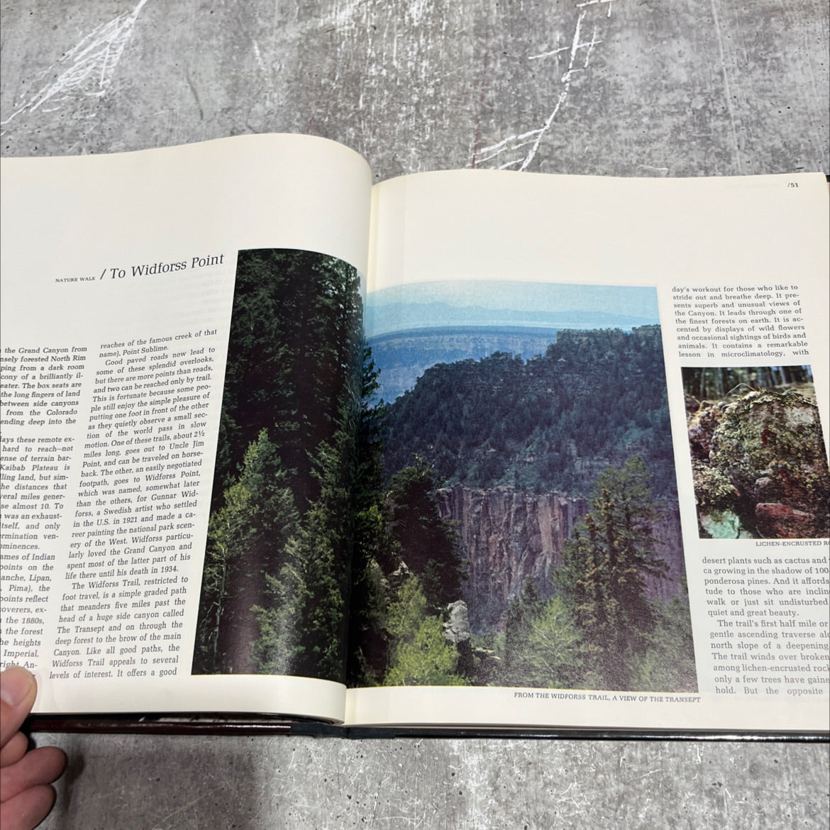 the grand canyon the american wilderness book, by Robert Wallace, 1980 Hardcover image 4