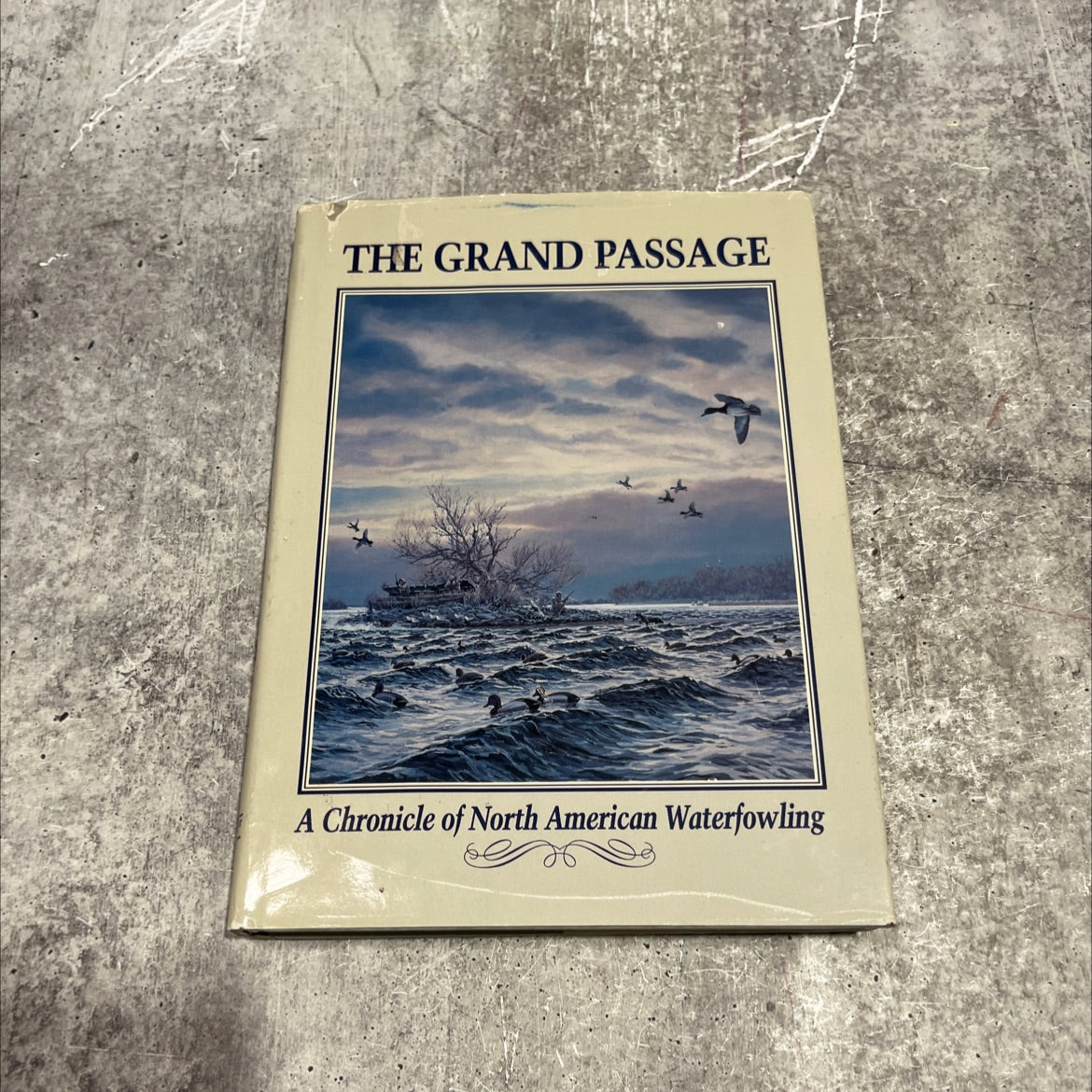 the grand passage a chronicle of north american waterfowling illustrated with watercolor paintings and original image 1