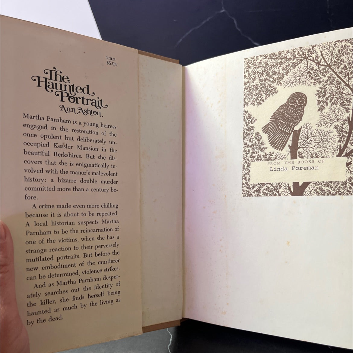 the haunted portrait book, by ann ashton, 1976 Hardcover image 4