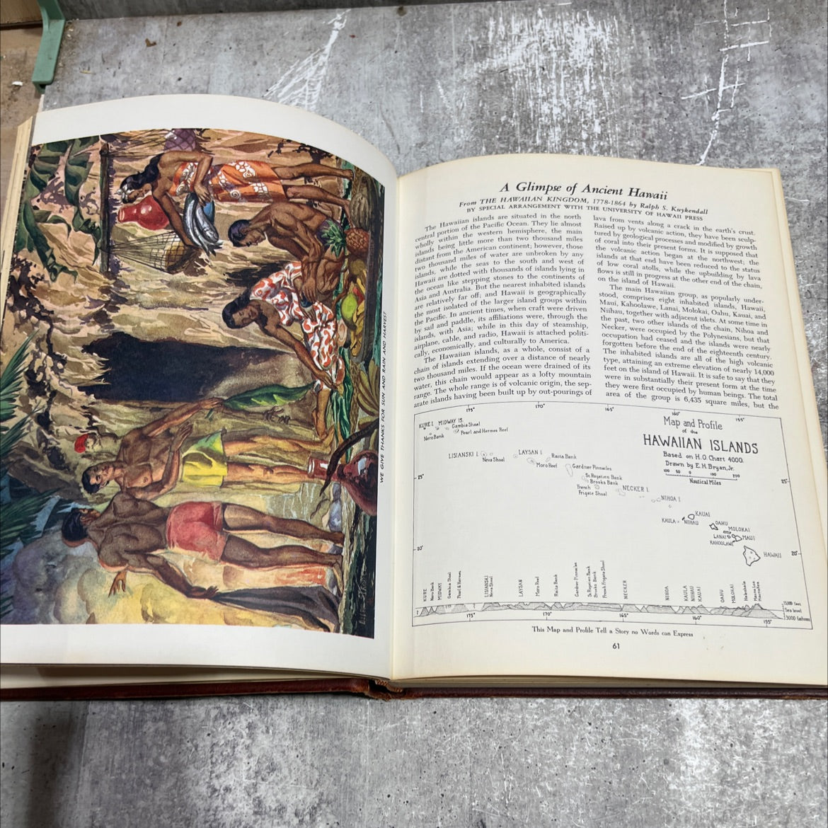 the hawaii book story of our island paradise including selections from hawaii, the island state book, by Jan Jabulka, image 4
